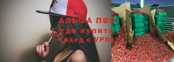 гидра Аркадак