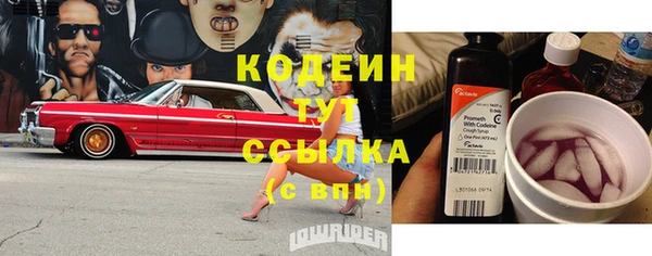 прущие крисы Новозыбков