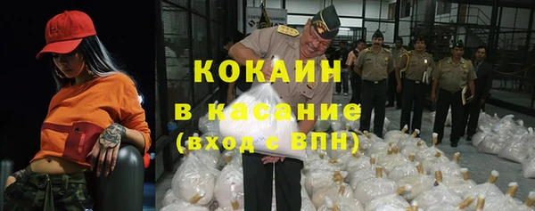 гидра Аркадак
